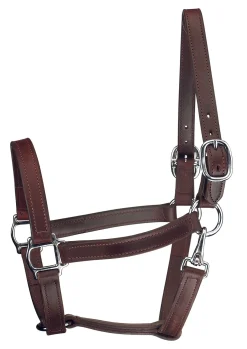 PERRIS LEATHER Perri’s® Track Style Turnout Halter with Snap