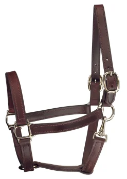 PERRIS LEATHER Perri’s® Track Style Turnout Halter with Snap