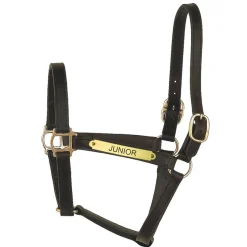 PERRIS LEATHER Perri’s® Track Style Turnout Halter with Snap