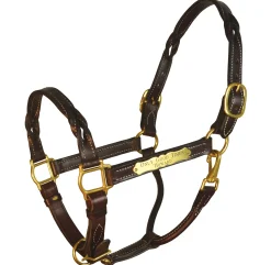 PERRIS LEATHER Perri’s® Twisted Leather Halter with Nameplate