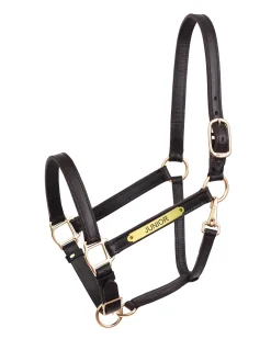 PERRIS LEATHER Perri’s® Yearling Leather Turnout Halter
