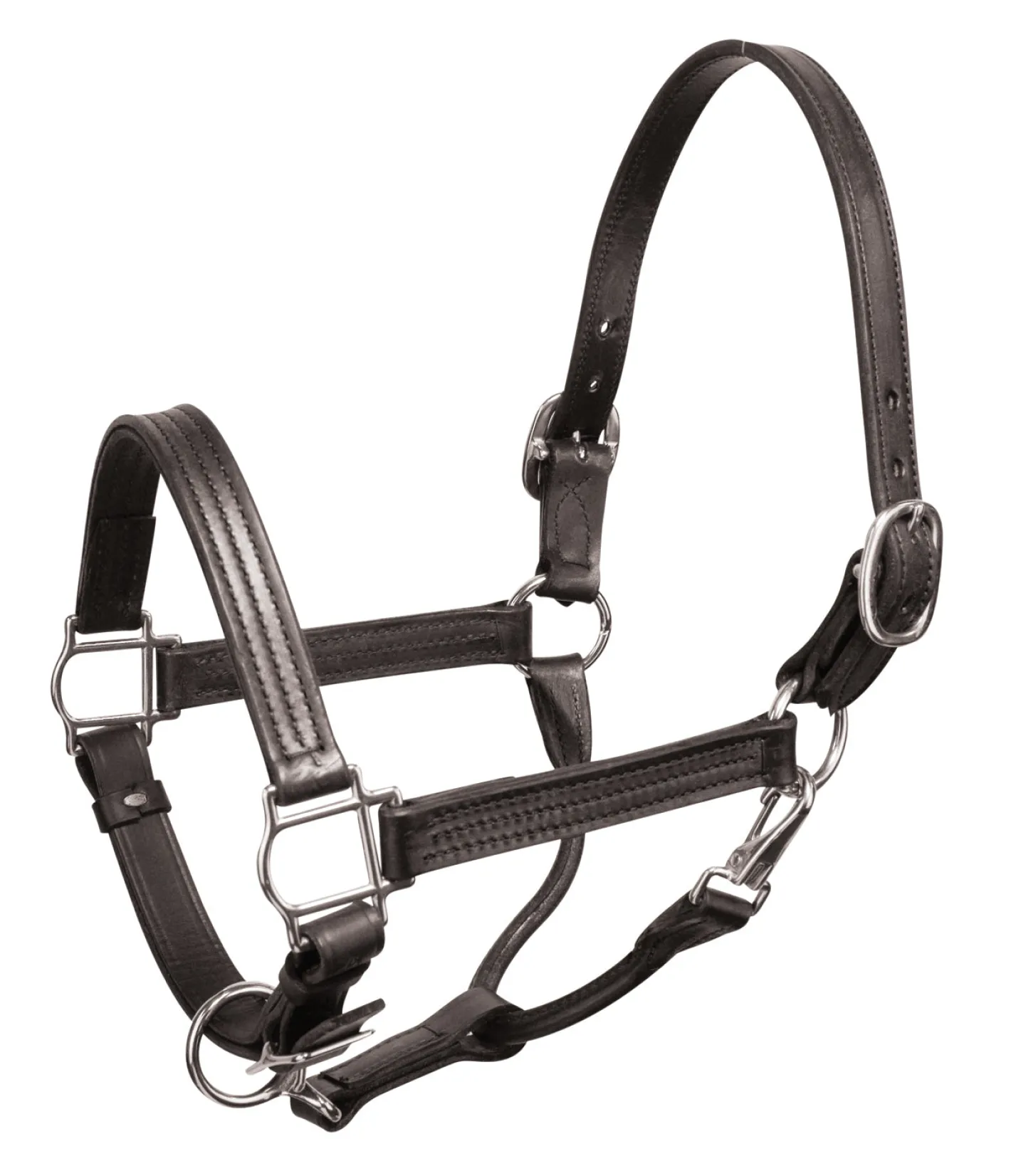 PERRIS LEATHER Perri’s® Premium Leather Show Halter