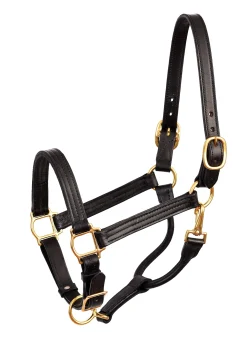PERRIS LEATHER Perri’s® Premium Leather Show Halter