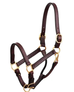 PERRIS LEATHER Perri’s® Premium Leather Show Halter
