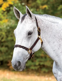 PERRIS LEATHER Perri’s® Twisted Leather Halter