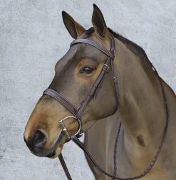 ERS Pessoa® Pro Fancy-Stitched Wide Nose Bridle