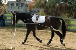 ERS Pessoa Training System