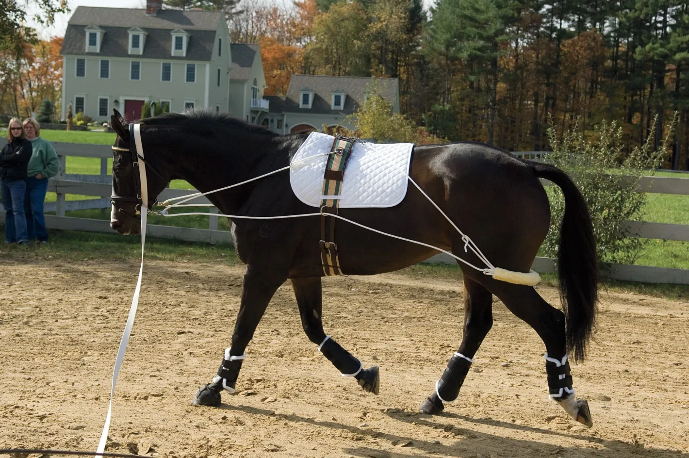 ERS Pessoa Training System