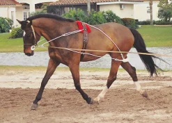 ERS Pessoa® Training System