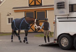 VAC S BANDAGE CO Pony Stable Bandages
