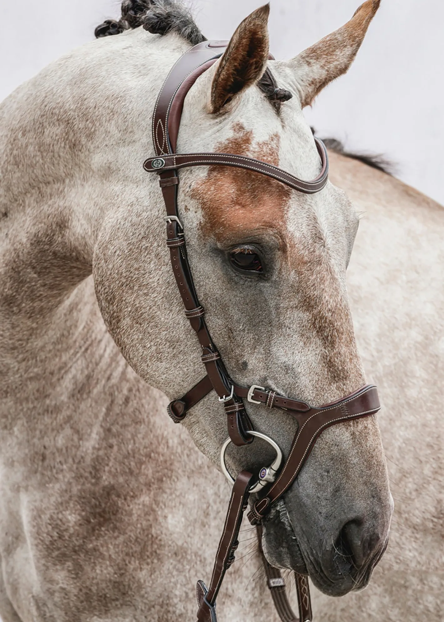 PS OF SWEDEN Nirak™ Bridle