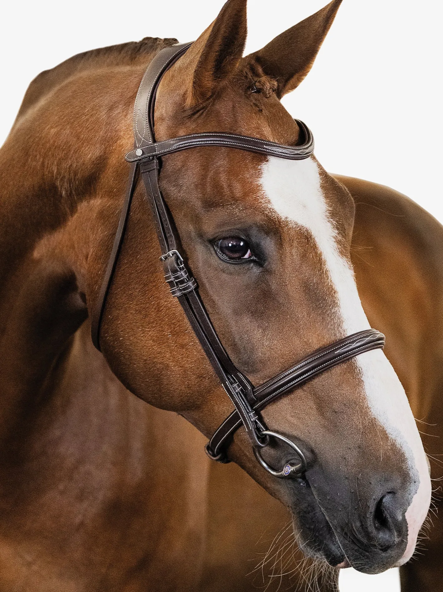 PS OF SWEDEN Ocala Hunter Bridle