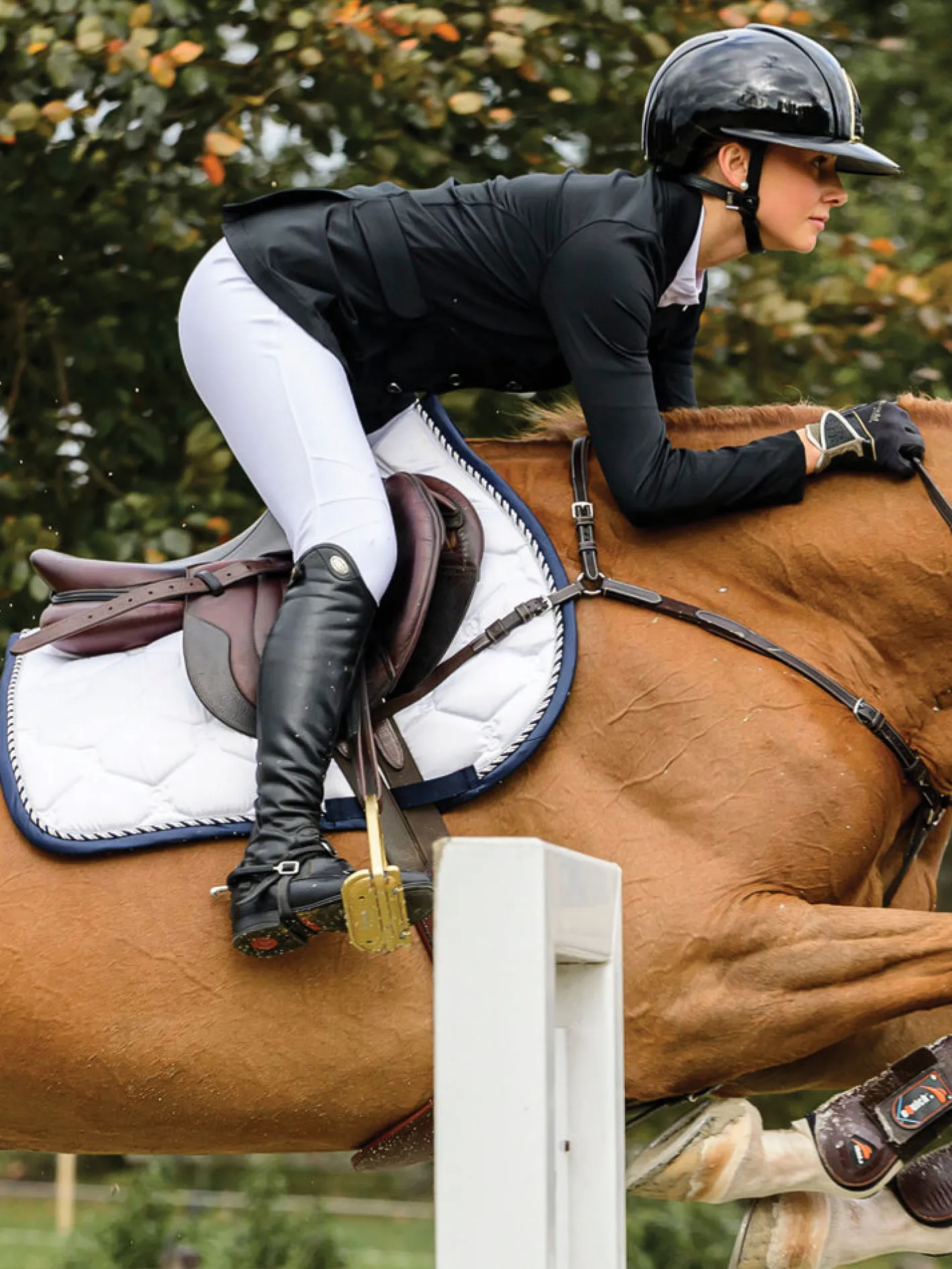 PS OF SWEDEN Signature Jump Saddle Pad