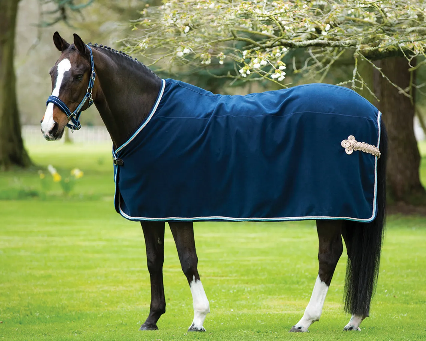 HORSEWARE Rambo® Show Blanket