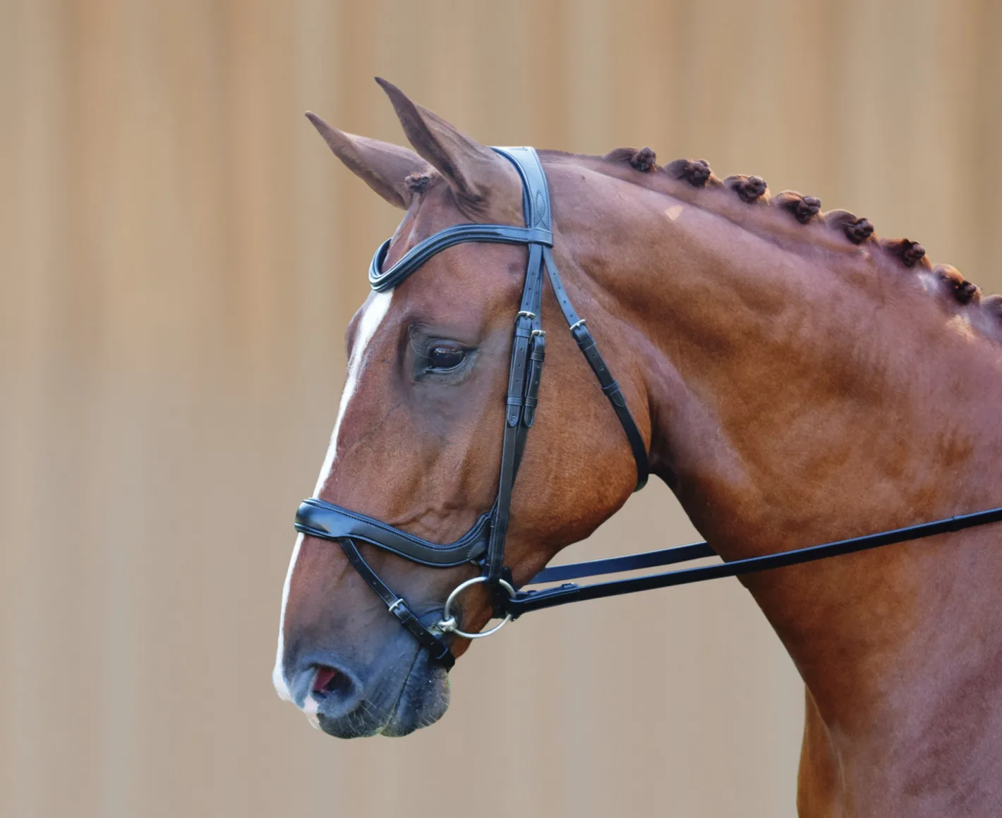 KL SELECT Red Barn Arena Ergonomic Snaffle