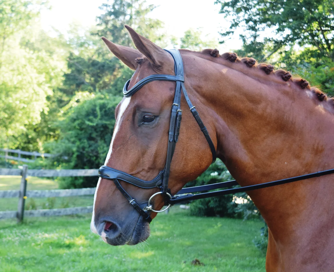 KL SELECT Red Barn Arena Ergonomic Snaffle