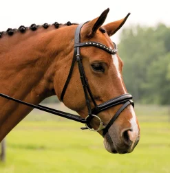 KL SELECT Red Barn Stride Dressage Bridle