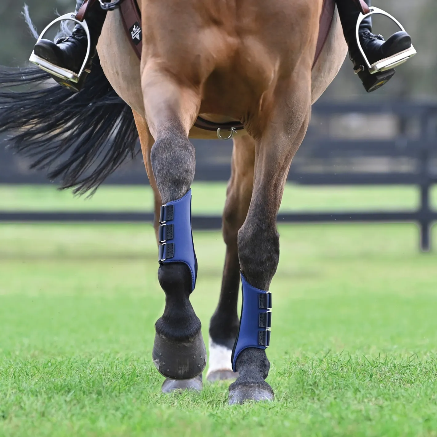 TEXT HORSE Rider’s International™ All-Purpose Galloping Boots