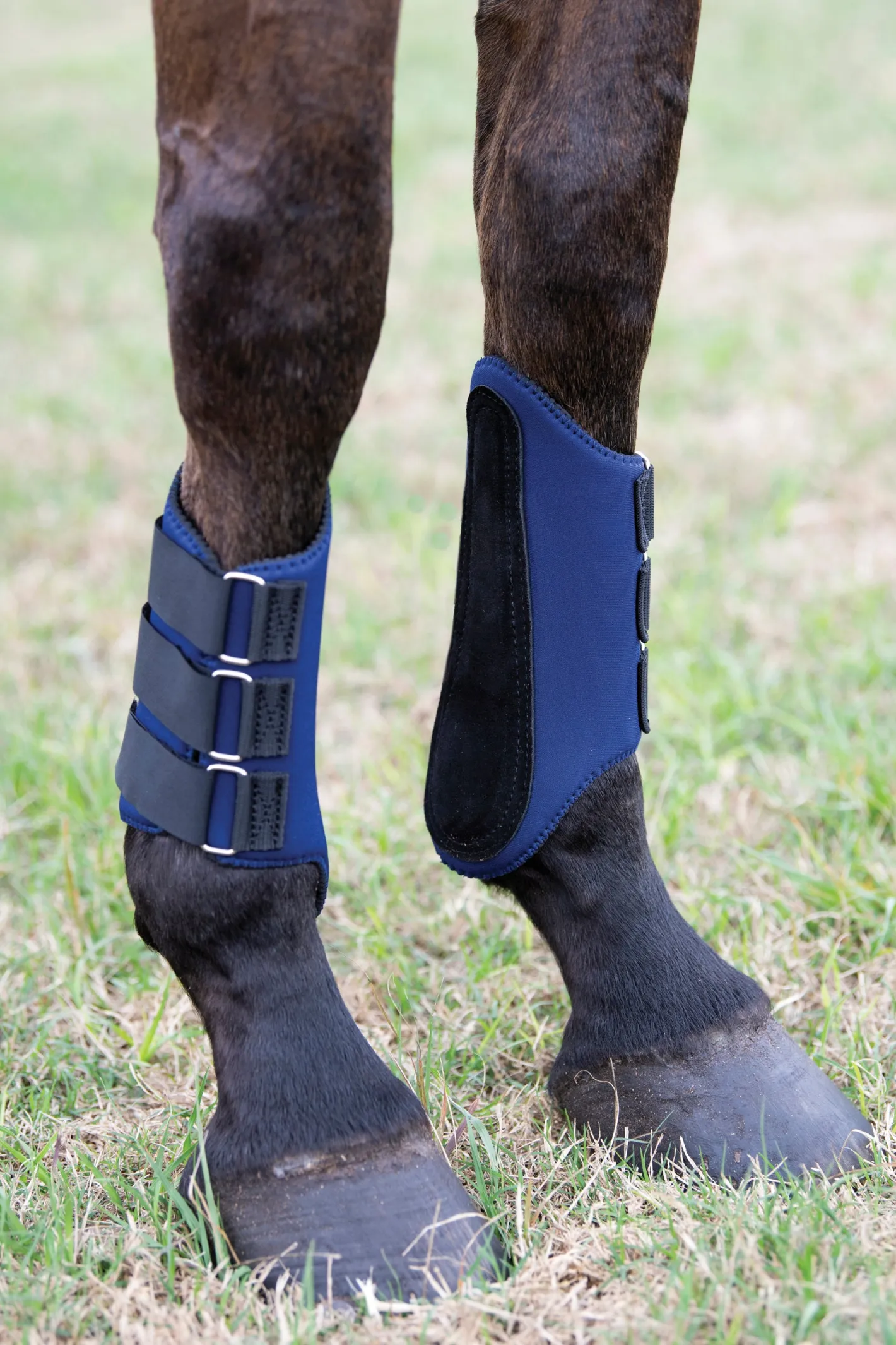 TEXT HORSE Rider’s International™ All-Purpose Galloping Boots