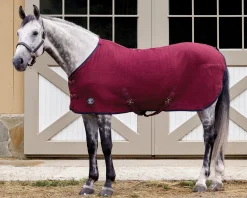 INTEX EQUESTRIAN Rider’s International™ Chill Chaser