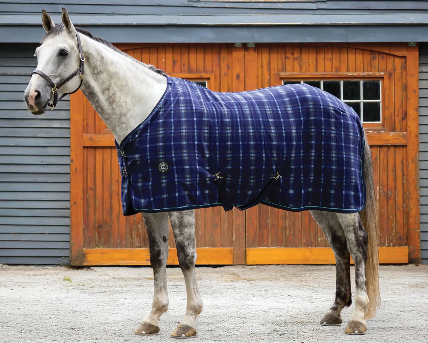 INTEX EQUESTRIAN Rider’s International™ Classic Cooler–Plaid