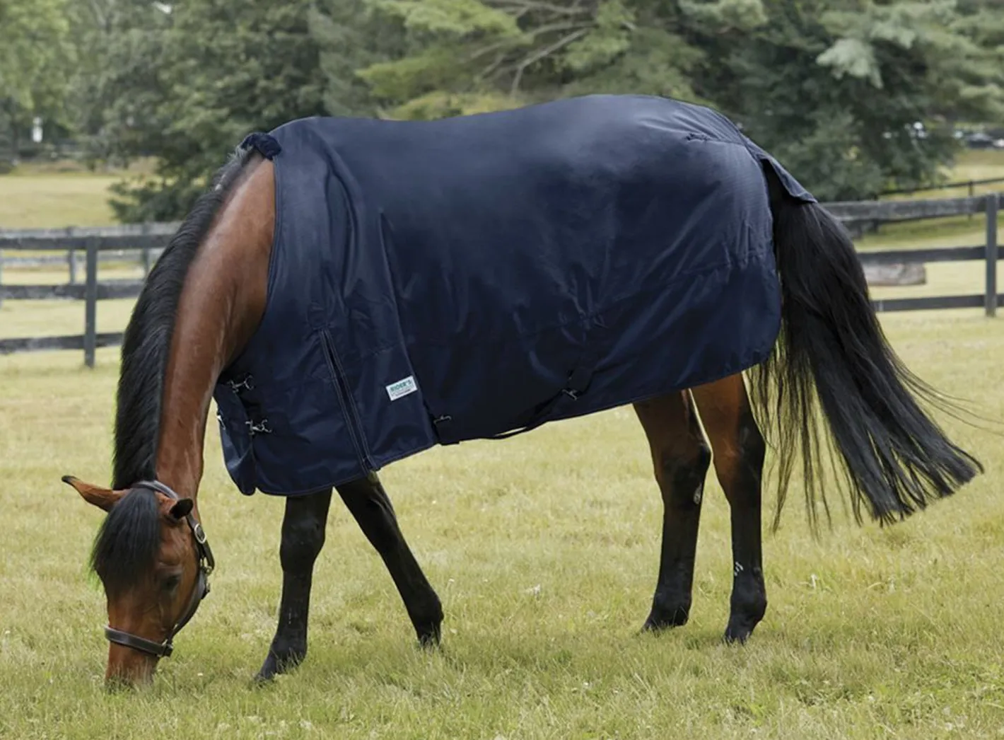S.K. EXPORTS Rider’s International™ 600D 50G Lite Turnout
