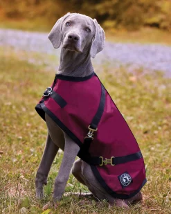 CWEAR BRANCH Rider’s International™ Dog Turnout Sheet