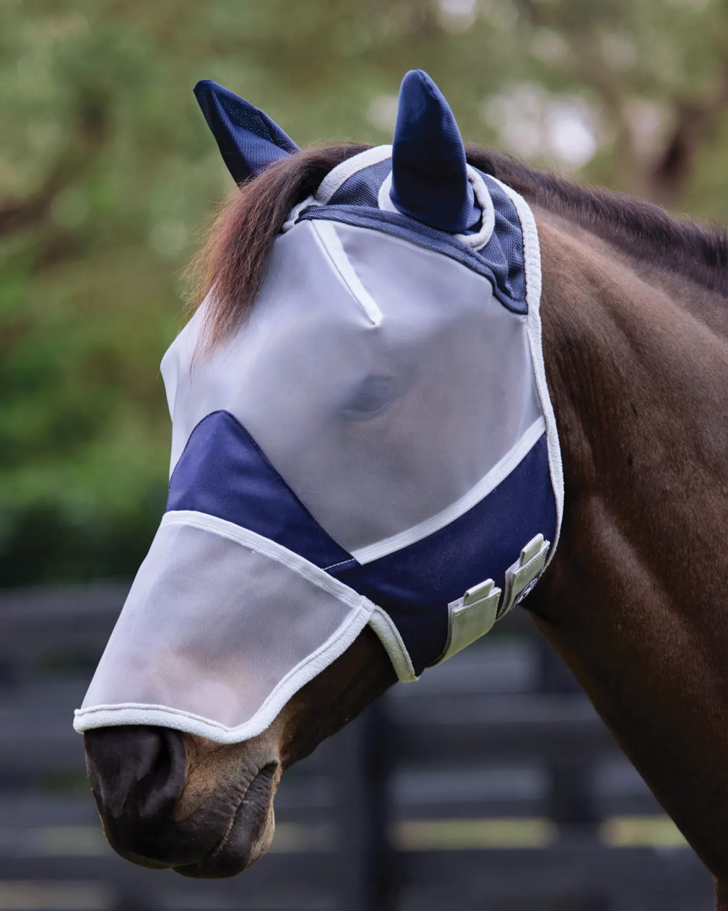 CWEAR BRANCH Rider's International™ Fine Mesh Fly Mask with Ears & Nose