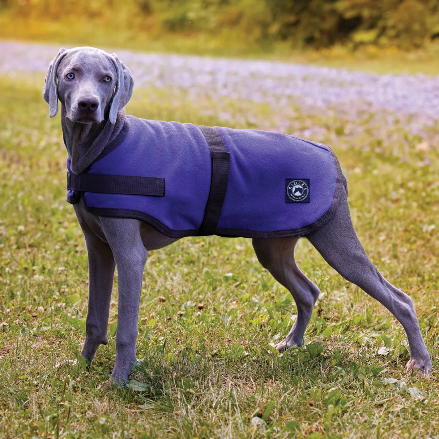 CWEAR BRANCH Rider’s International™ Fleece Dog Cooler