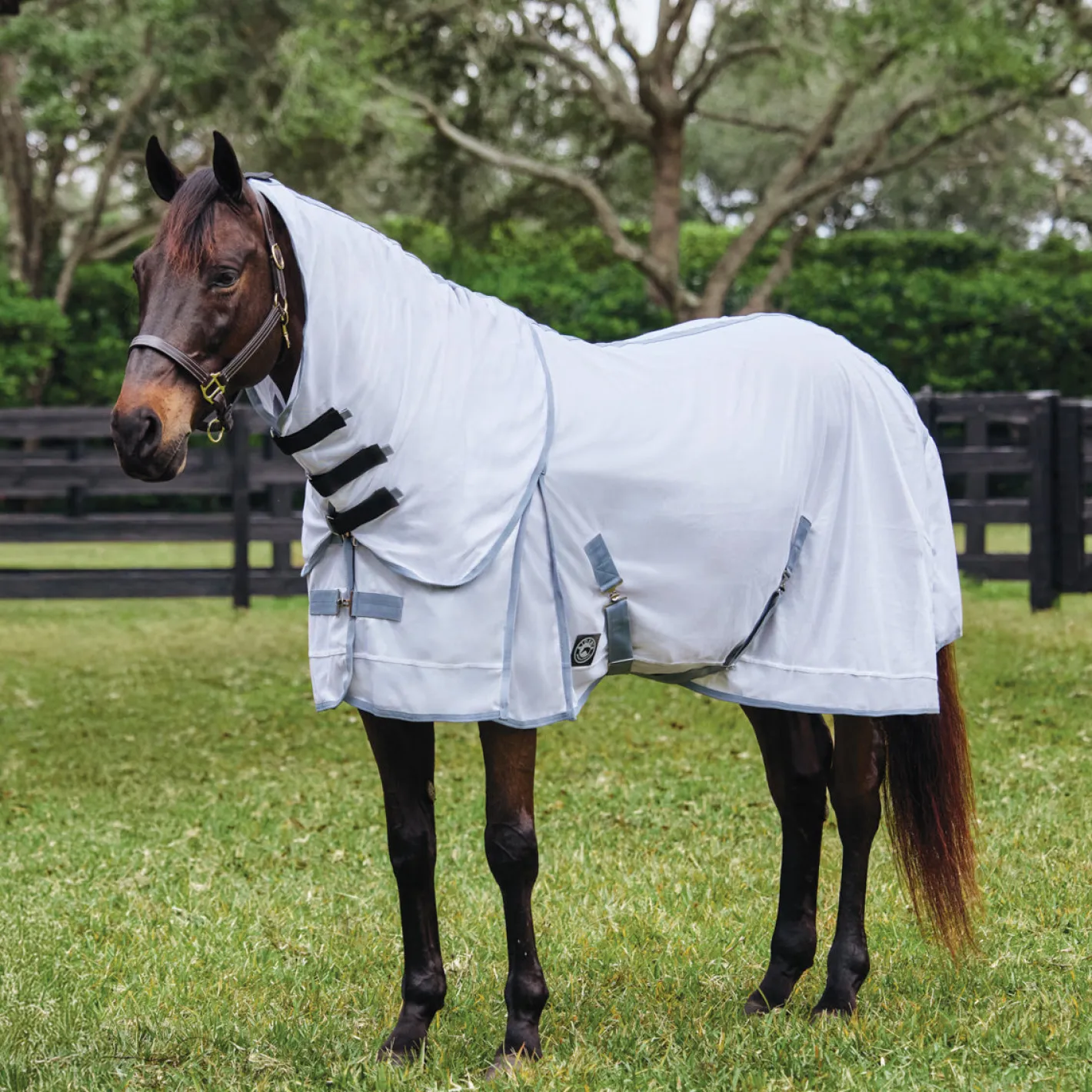 KARTIKEYA INTL Rider’s International™ Light Mesh Fly Sheet