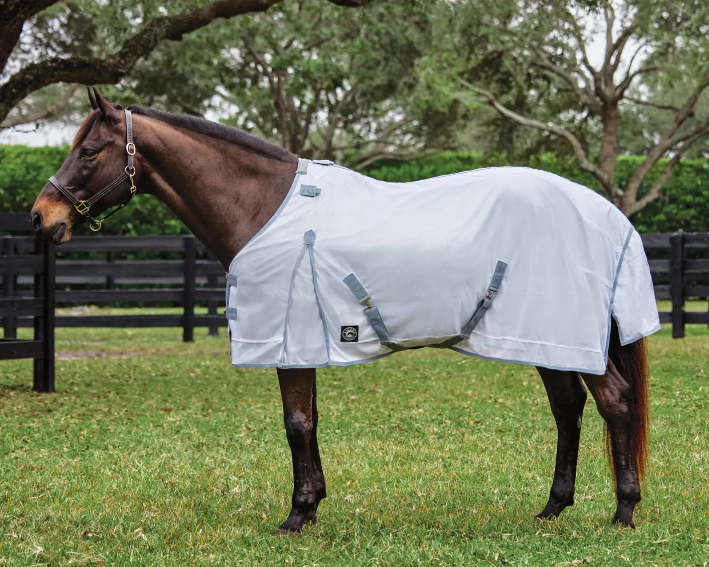 KARTIKEYA INTL Rider’s International™ Light Mesh Fly Sheet