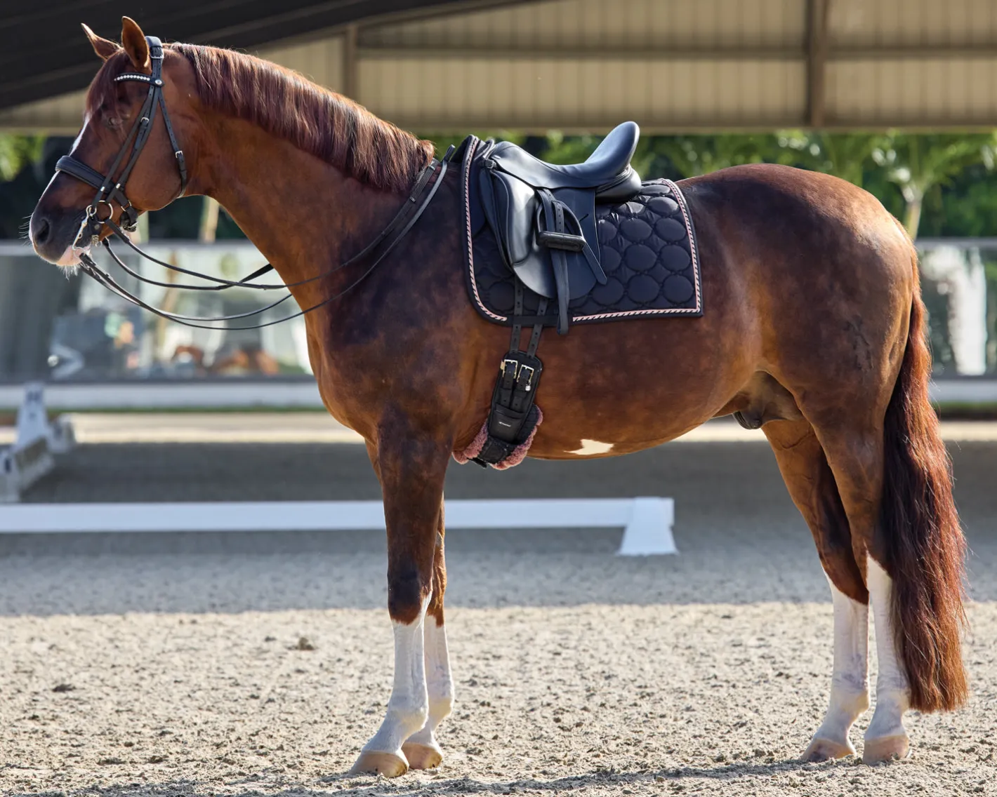 GLOBAL EXPORTS Rider’s International™ Luxury Dressage Pad