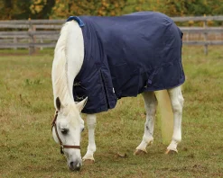 S.K. EXPORTS Rider’s International™ Pony Turnout Sheet