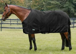 S.K. EXPORTS Rider’s International™ Pony Turnout Sheet