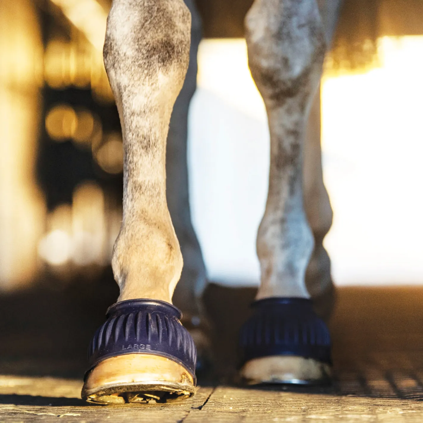 SHIVAM Rider's International™ Rubber Hook-and-Loop Bell Boots