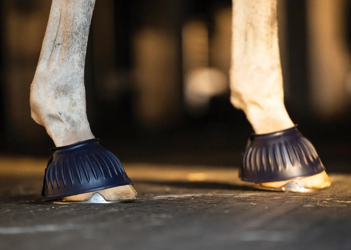 SHIVAM Rider's International™ Rubber Hook-and-Loop Bell Boots