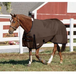 CWEAR BRANCH Rider’s International™ Supreme Heavyweight Turnout Blanket