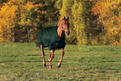 CWEAR BRANCH Rider’s International™ Supreme Heavyweight Turnout Blanket