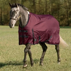 CWEAR BRANCH Rider’s International™ Supreme Heavyweight Turnout Blanket