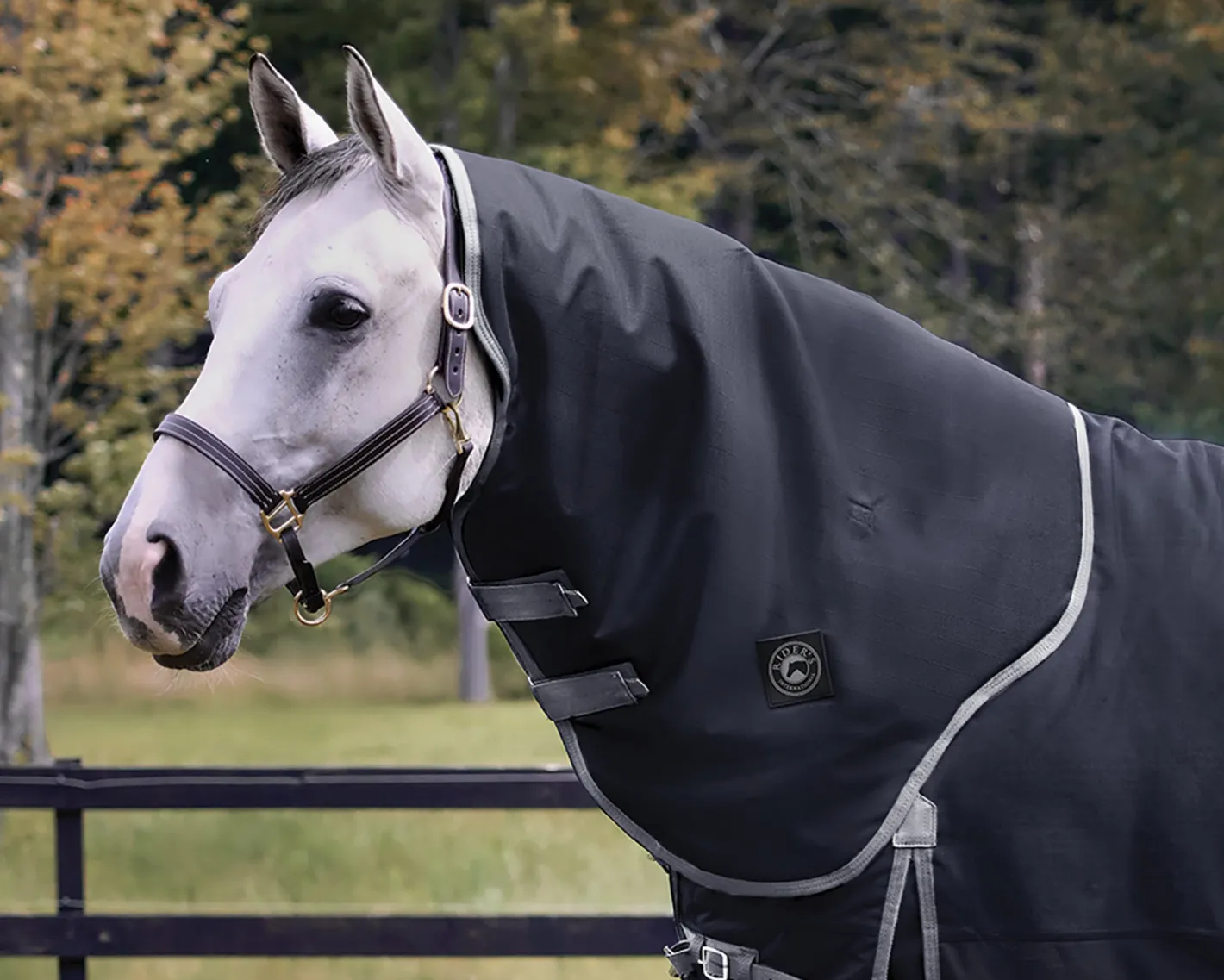CWEAR BRANCH Rider’s International™ Supreme Hood–200G
