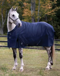 CWEAR BRANCH Rider’s International™ Supreme 100 Gram Turnout Blanket