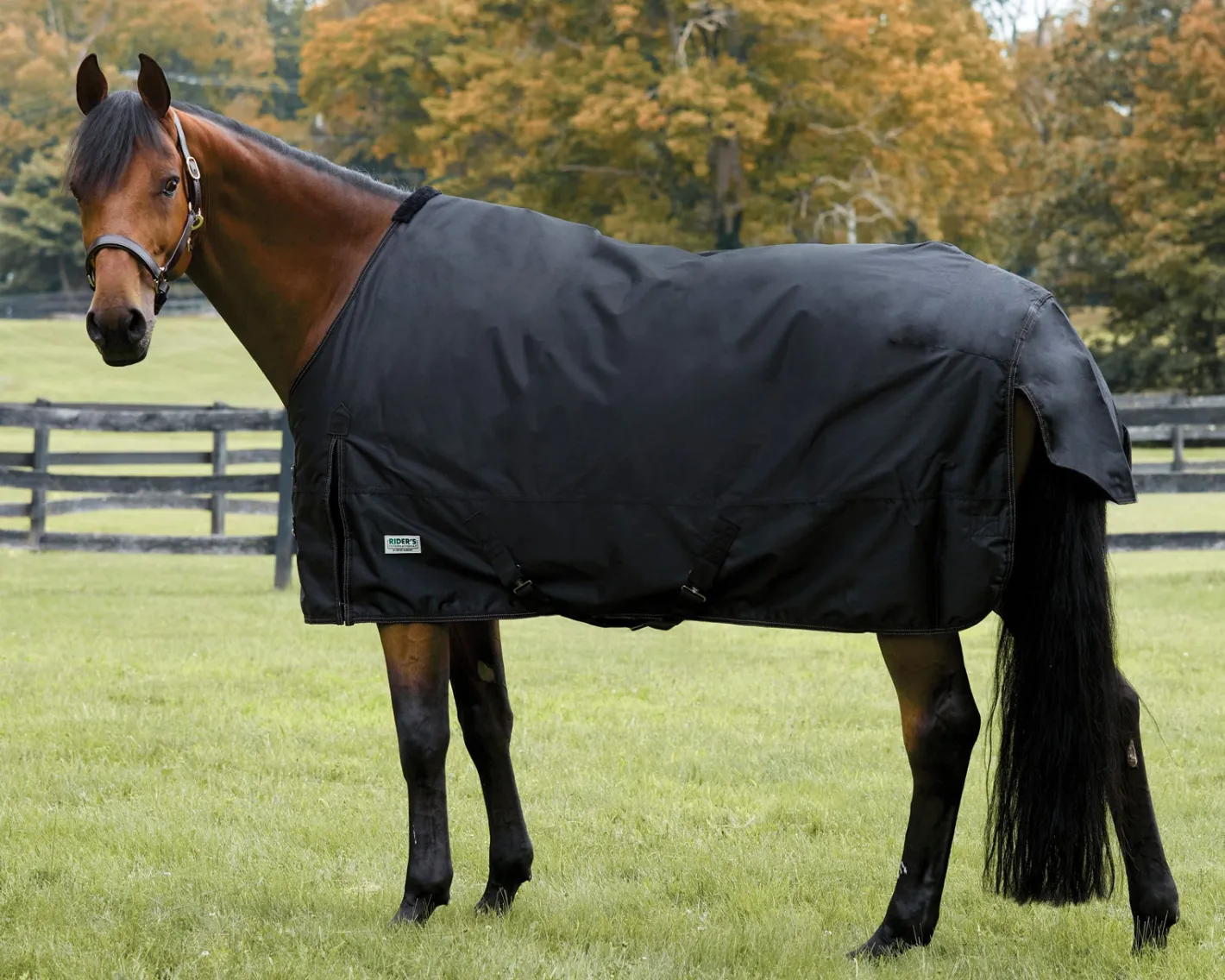 S.K. EXPORTS Rider’s International™ Turnout Sheet