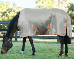 INTEX EQUESTRIAN Rider’s International™ Fly Sheet