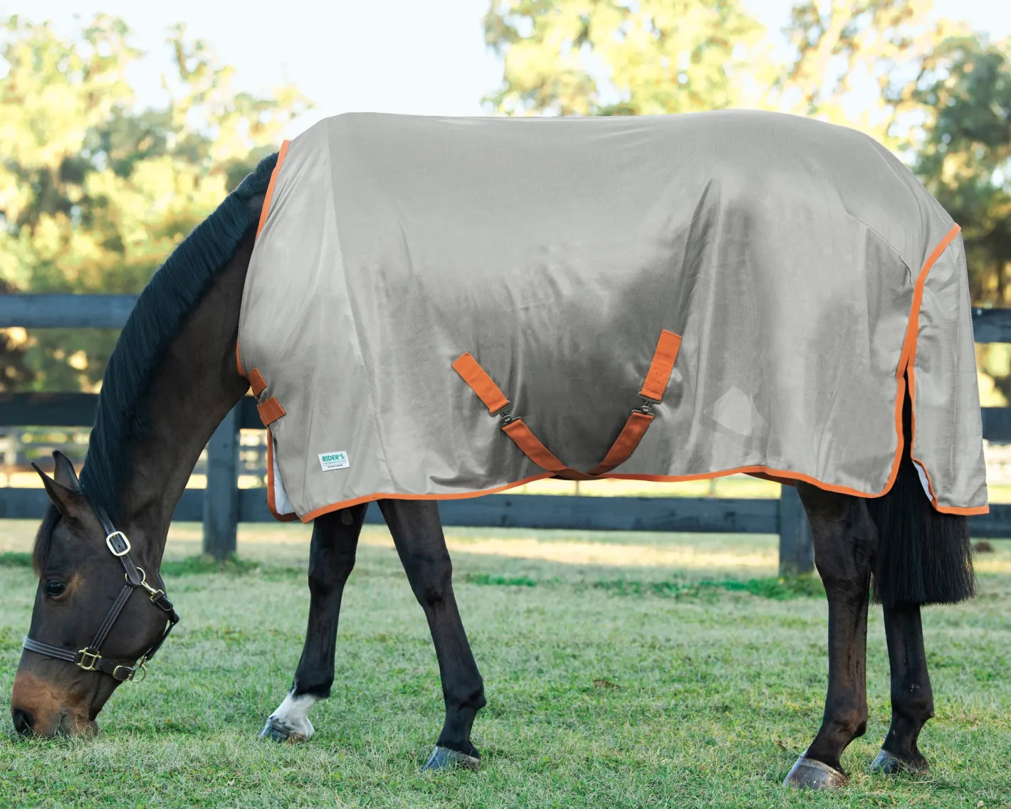 INTEX EQUESTRIAN Rider’s International™ Fly Sheet