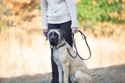 PUSHKAR INTL Rider’s International™ Laced Rein Dog Leash