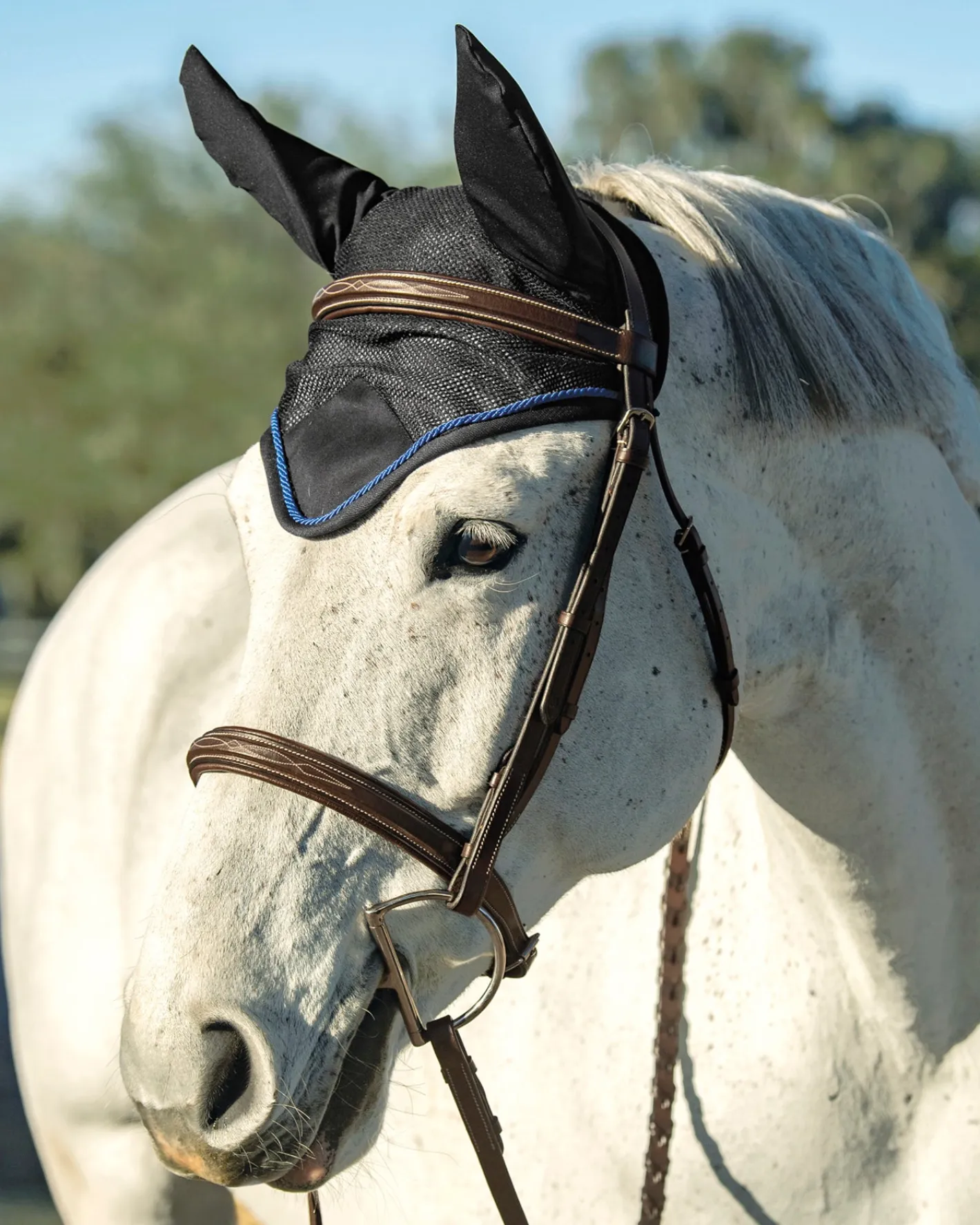 INTEX EQUESTRIAN Rider’s International™ Lightweight Mesh Ear Bonnet