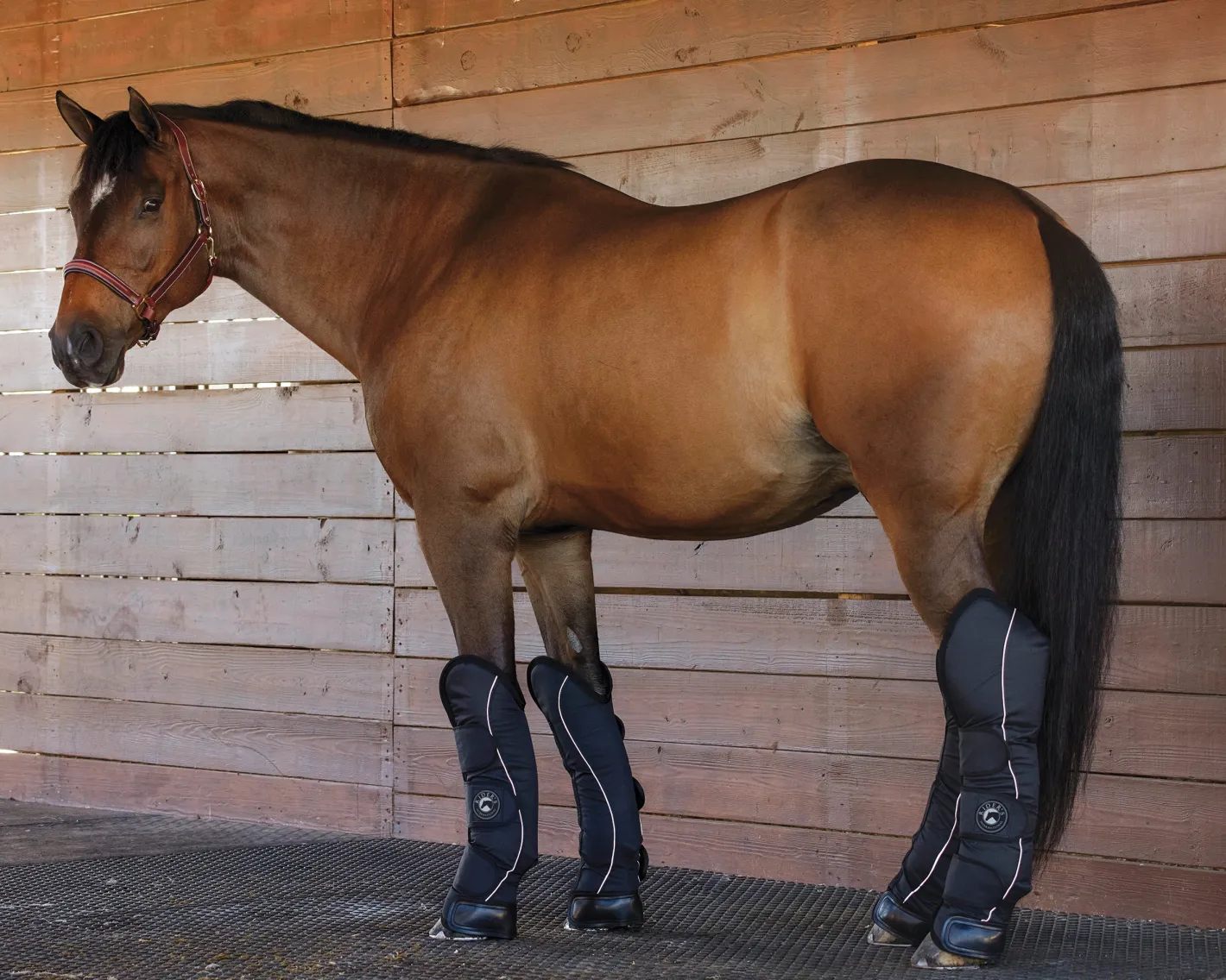 KARTIKEYA INTL Rider’s International™ Shipping Boot Set