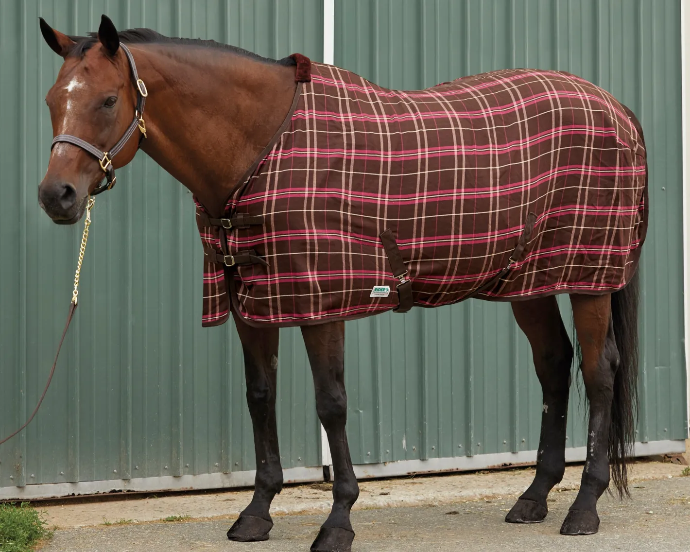 S.K. EXPORTS Rider’s International™ Stable Sheet