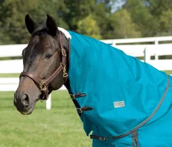 CWEAR BRANCH Rider’s International™ Supreme Neck Cover