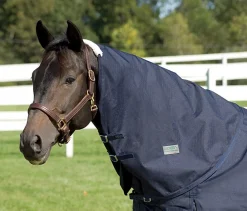 CWEAR BRANCH Rider’s International™ Supreme Neck Cover